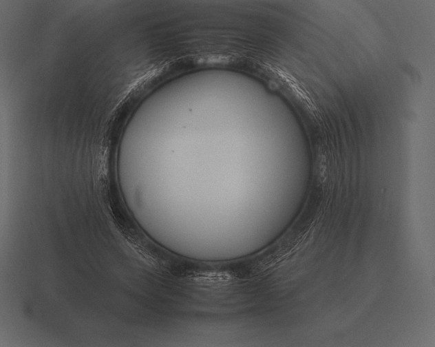 X0000116560543200912241617