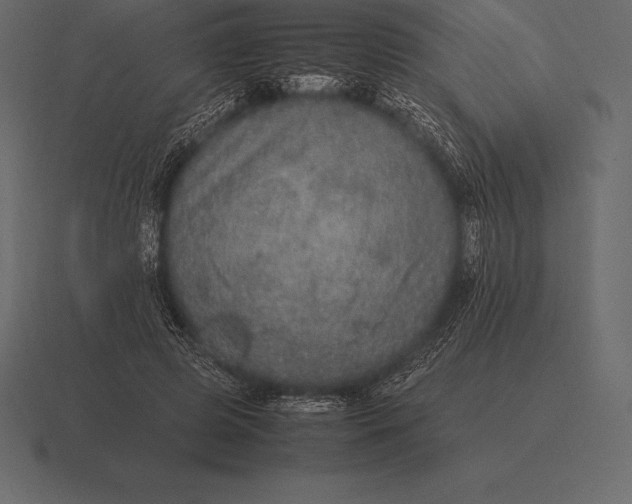 X0000116560545200912241617