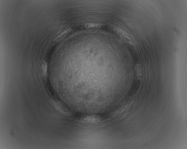 X0000116560550200912241617