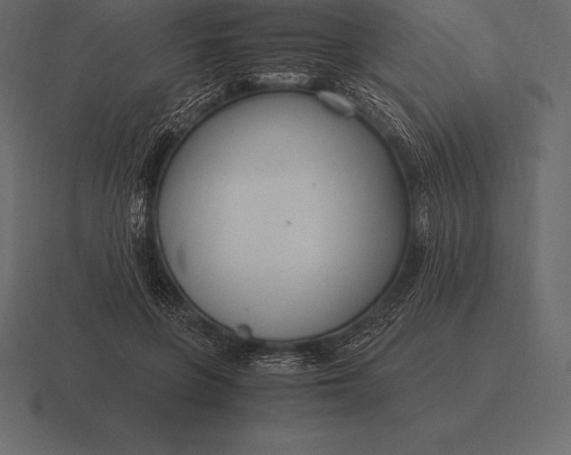 X0000116560551200912241617