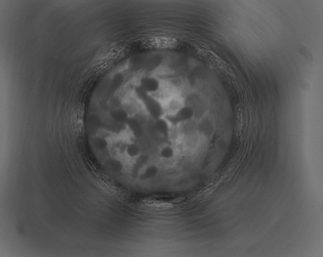 X0000116560553200912241617