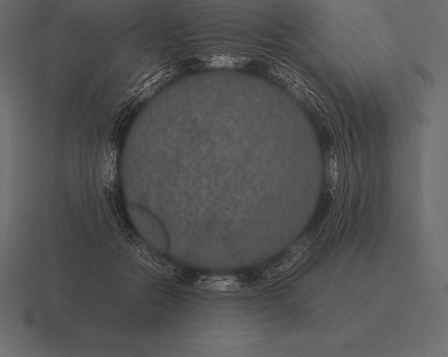 X0000116560554200912241617