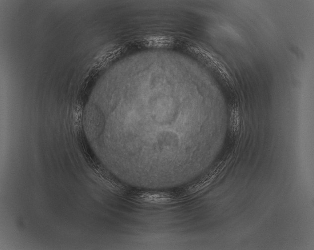 X0000116560557200912241617