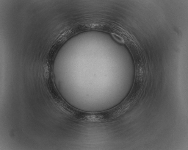 X0000116560558200912241617