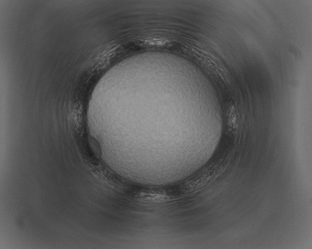 X0000116560559200912241617