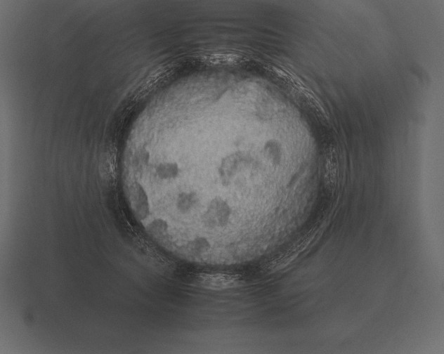 X0000116560561200912241617