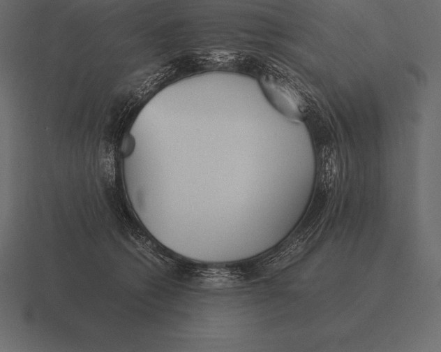 X0000116560562200912241617