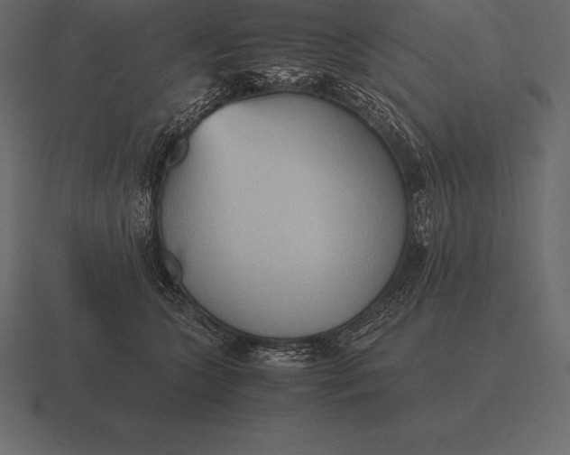 X0000116560563200912241617