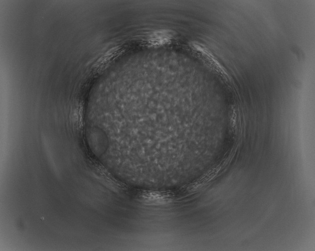 X0000116560565200912241617