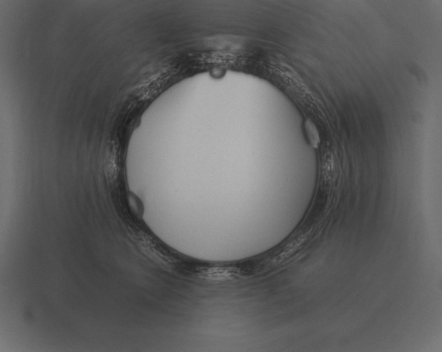 X0000116560566200912241617