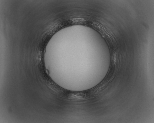 X0000116560567200912241617