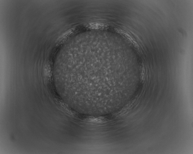 X0000116560569200912241617