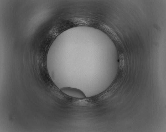 X0000116560573200912241617