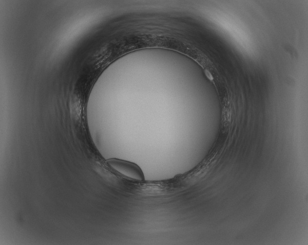 X0000116560574200912241617