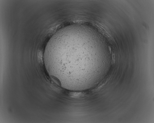 X0000116560575200912241617