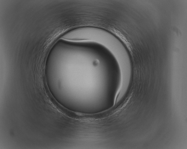 X0000116560577200912241616