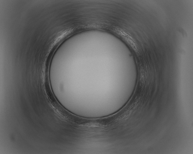 X0000116560578200912241616