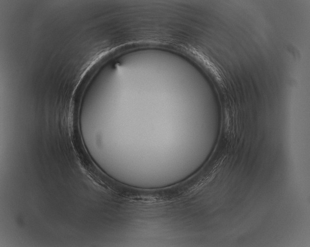 X0000116560580200912241616