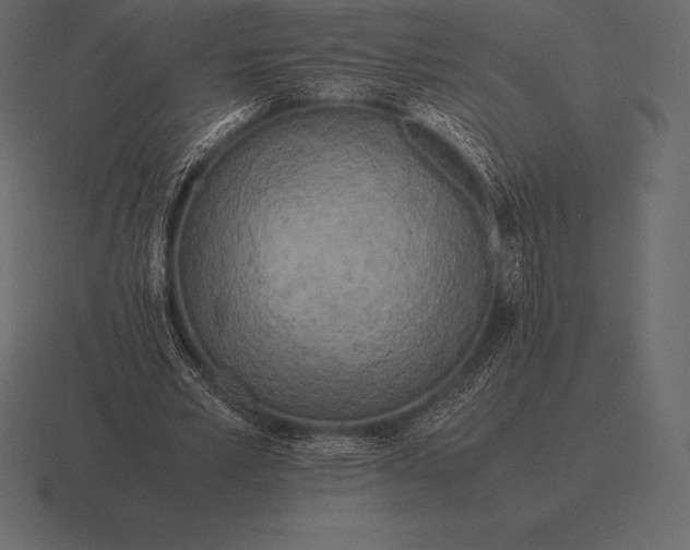 X0000116560581200912241616