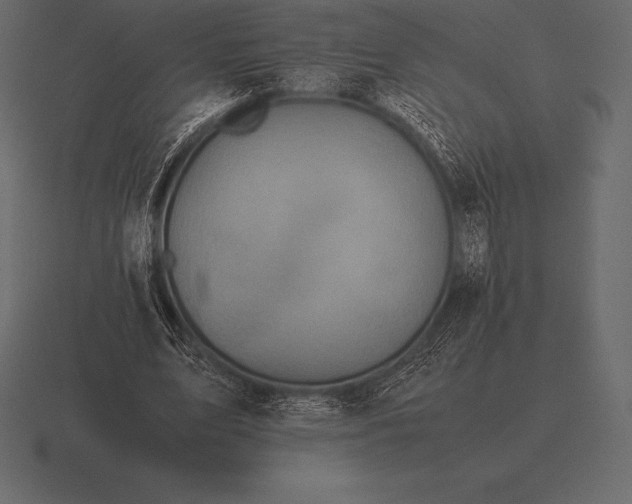 X0000116560583200912241616