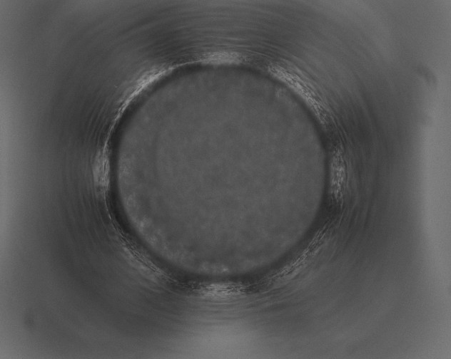 X0000116560584200912241616