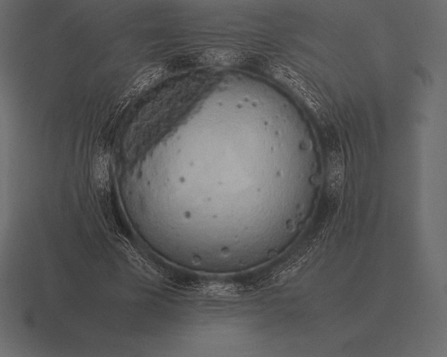 X0000116560585200912241616