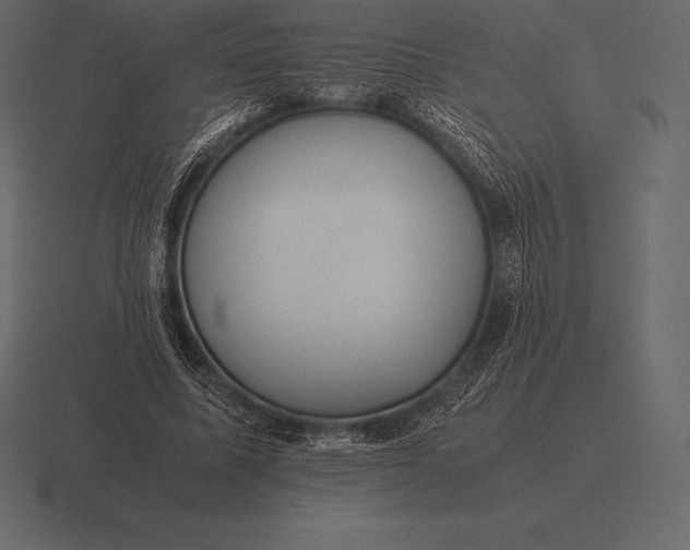 X0000116560587200912241616