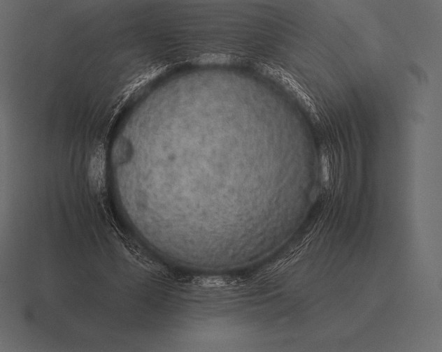 X0000116560588200912241616