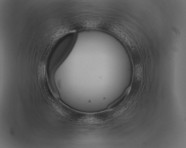 X0000116560589200912241616