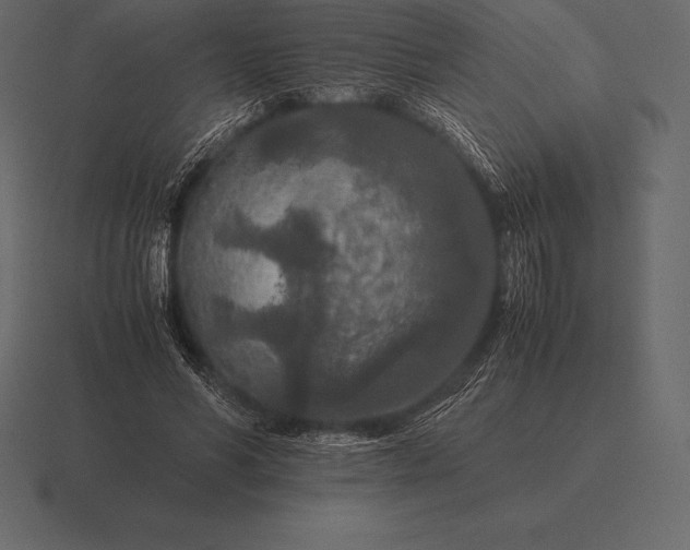 X0000116560590200912241616