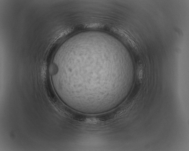 X0000116560591200912241616