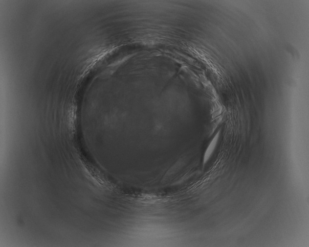 X0000116560592200912241616