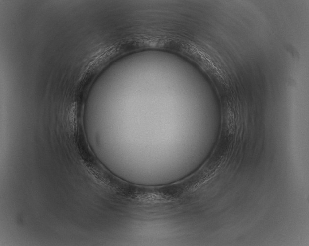 X0000116560594200912241616