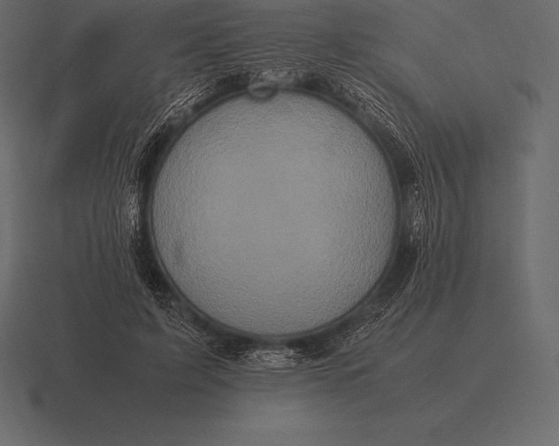 X0000116560595200912241616