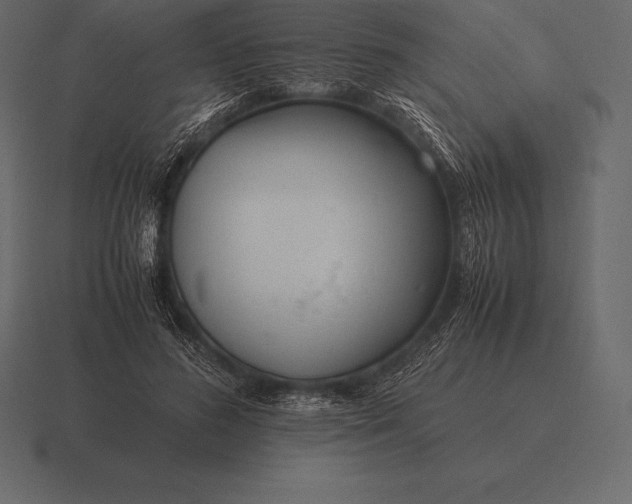 X0000116560596200912241616