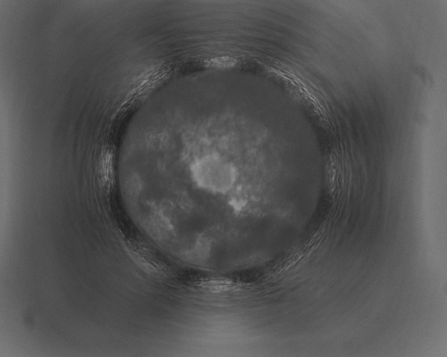 X0000116560598200912241616