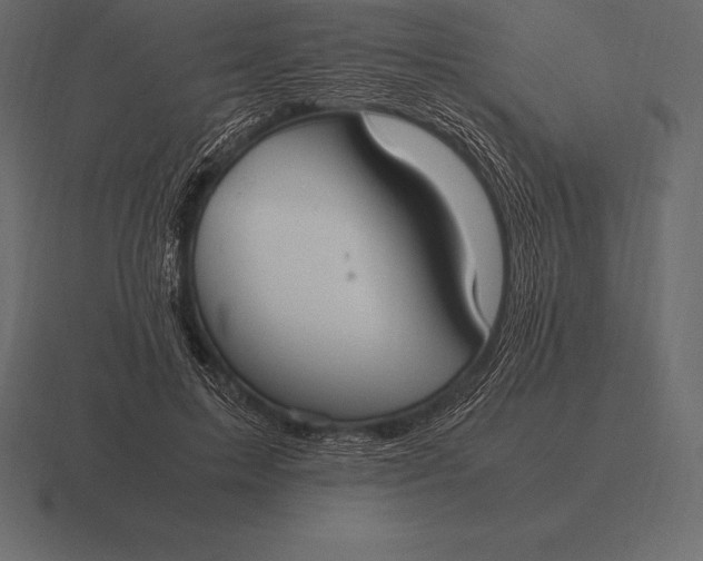 X0000116560599200912241616