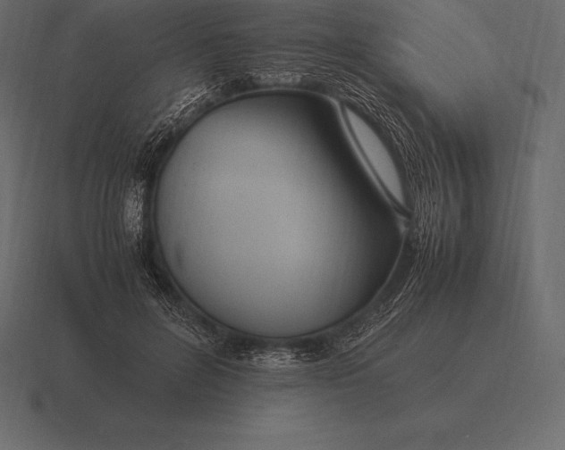 X0000116560600200912241616