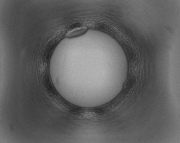 X0000116560601200912241616