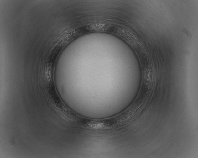 X0000116560602200912241616