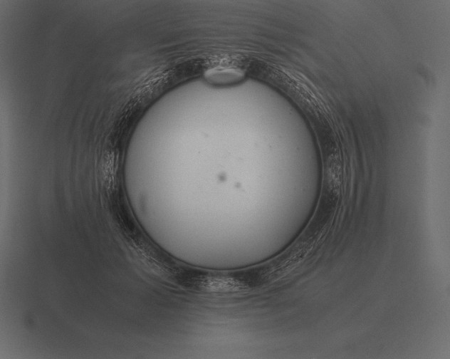 X0000116560605200912241616