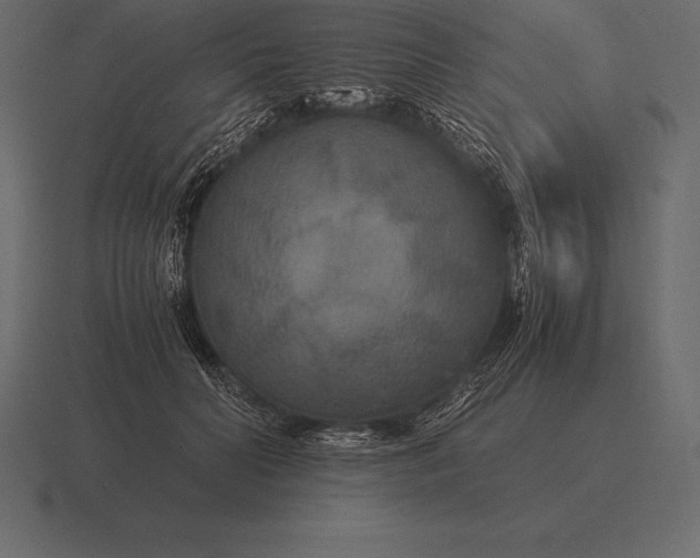 X0000116560606200912241616