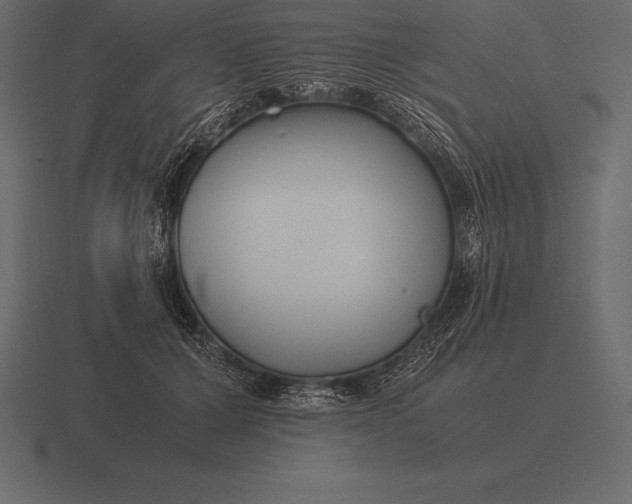 X0000116560607200912241616