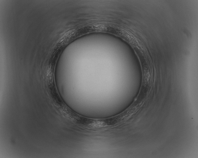 X0000116560609200912241616