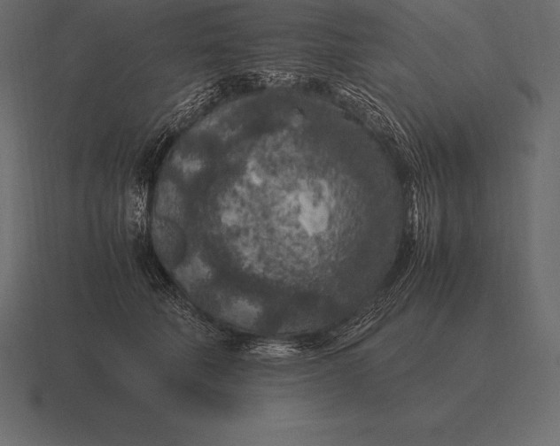 X0000116560610200912241616