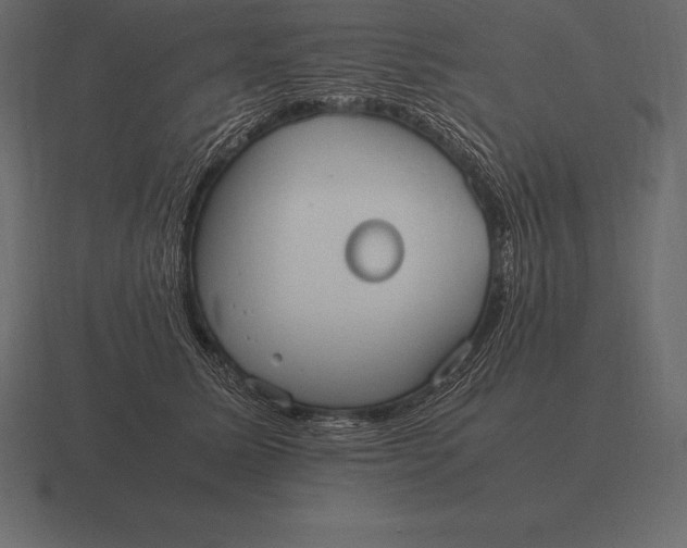 X0000116560611200912241616