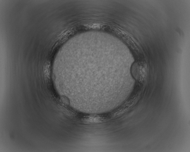 X0000116560612200912241616