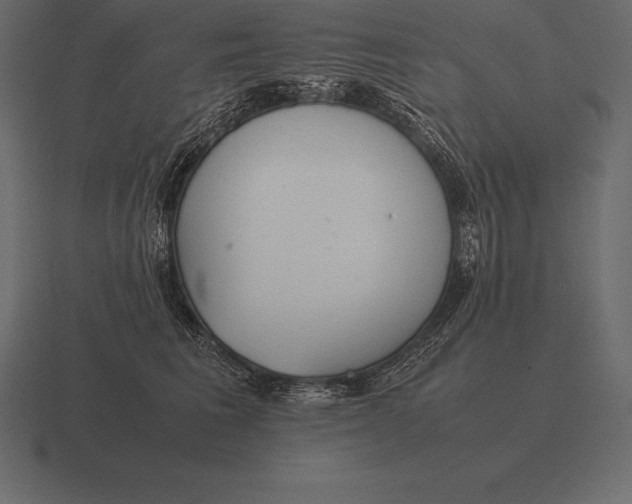 X0000116560613200912241616