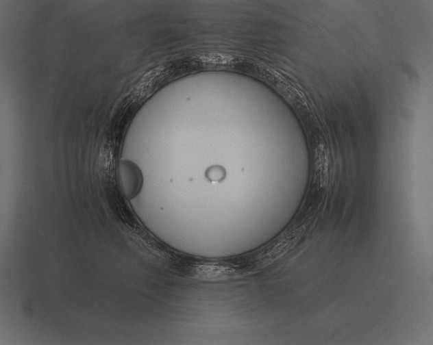 X0000116560614200912241616