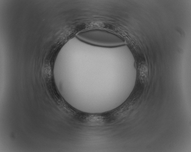 X0000116560617200912241616